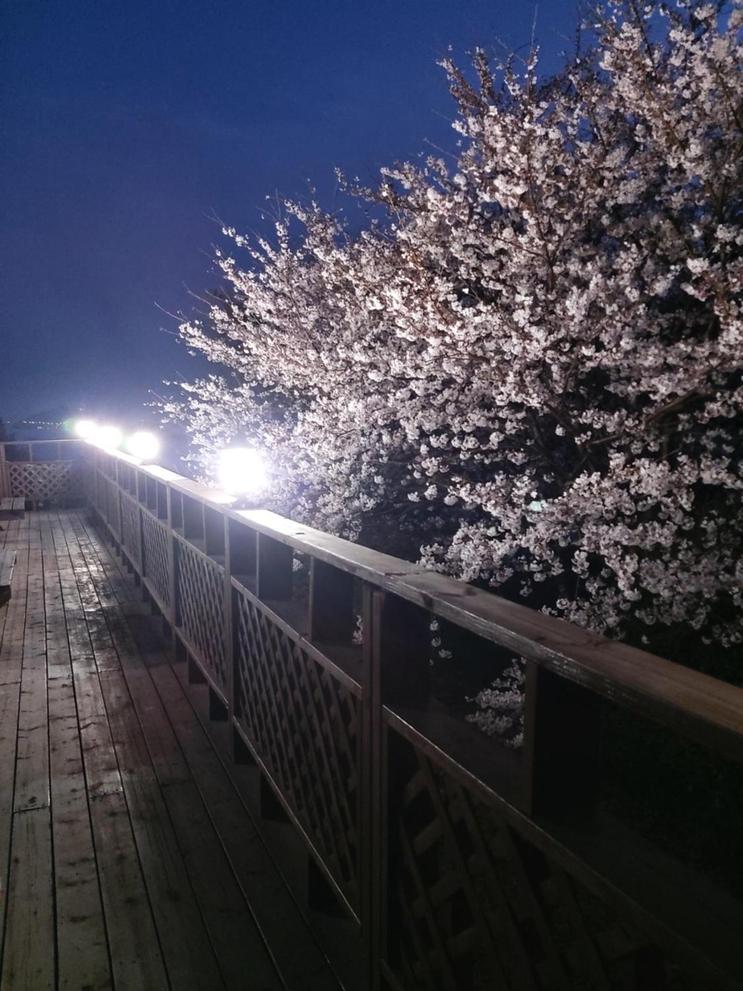 White House Hotel Namhae Bagian luar foto