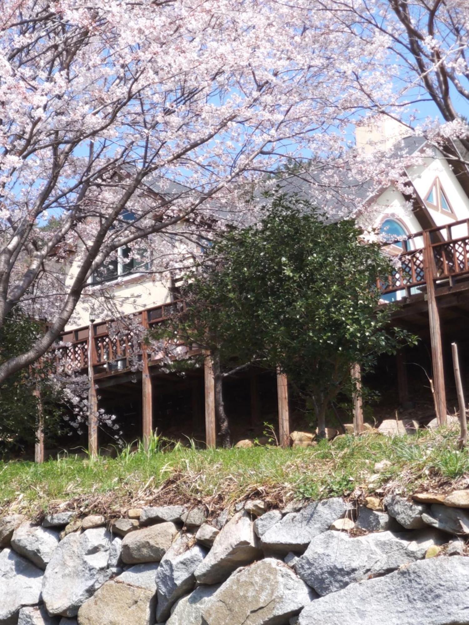 White House Hotel Namhae Bagian luar foto